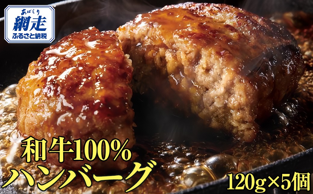＜網走産＞【オホーツクあばしり和牛】ハンバーグ・総重量 600g（120g×5個） ABW016