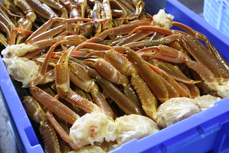 生冷凍ズワイガニの詰め合わせ 総重量3kg（北海道・ロシア・アメリカ産） ABB031