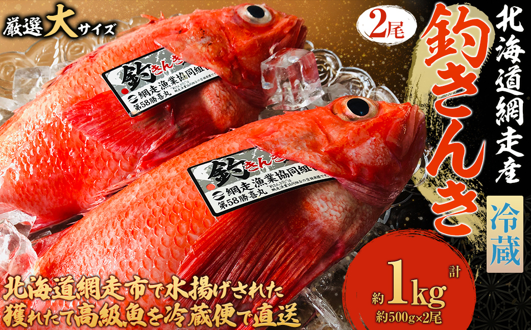 【冷蔵届け】網走産釣りキンキ【2尾で約1kg】 ABAO116