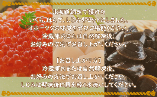 いくら・ほたて・しじみ オホーツク味覚セット（網走市産） ABE042