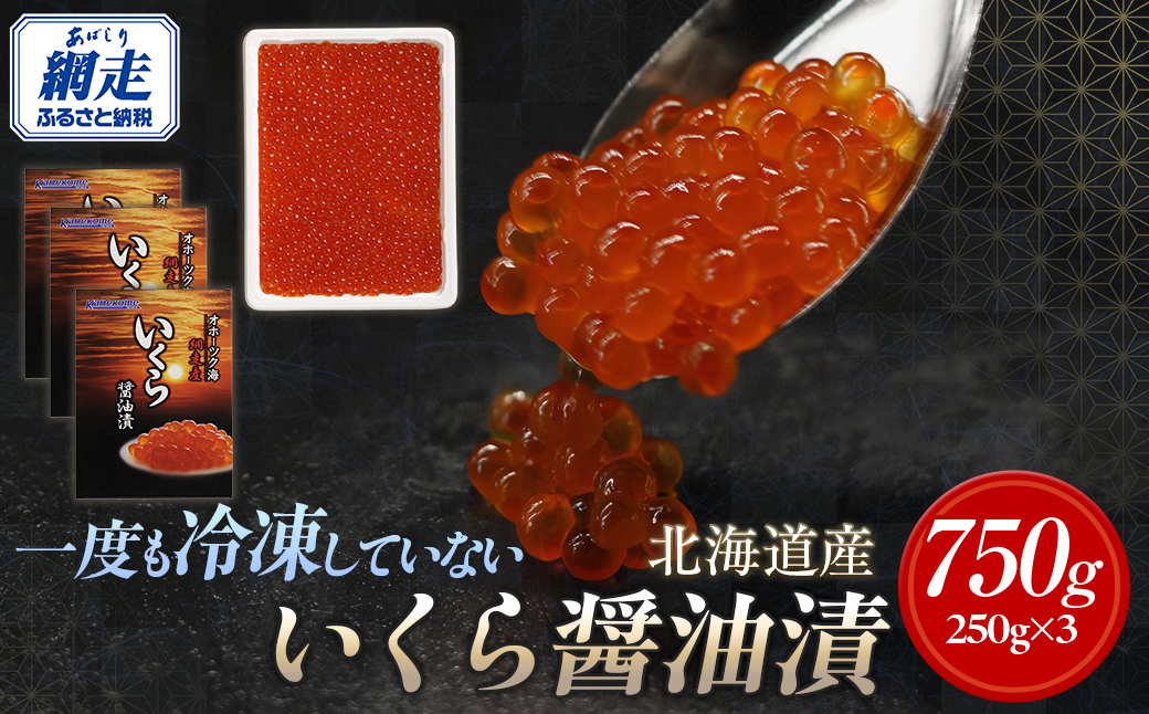 【2025年産新物先行予約】北海道産 一度も冷凍していない いくら醤油漬 250g×3（令和7年10月より順次発送） ABR026