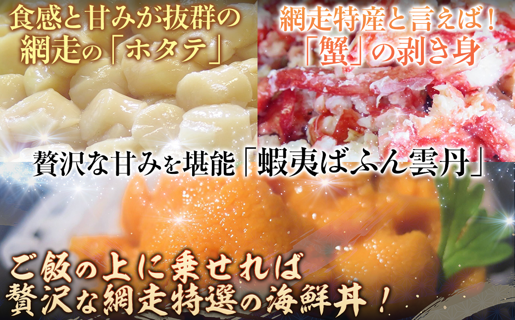 贅沢 網走海鮮丼セット「5人前」 ABJ023