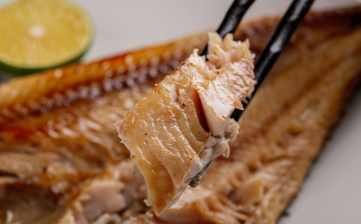 蜈ィ3蝗 螳壽悄萓ソ 繝帙ャ繧ア荳螟懷ケイ縺暦シ3縺区怦騾」邯夲シ ABB150