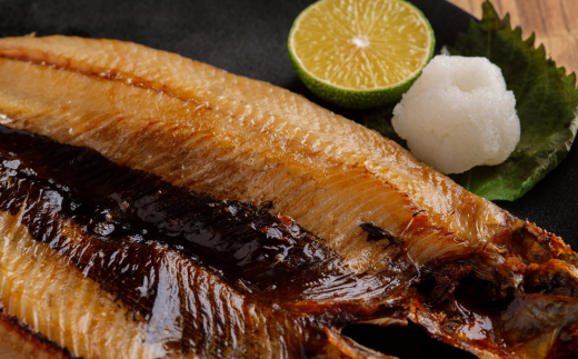 にしん一夜干し5枚セット（網走加工） ABB142