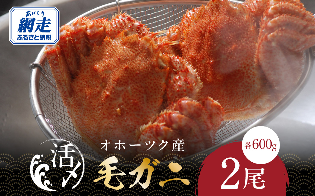 オホーツク産活〆毛ガニ 2尾（600g×2） ABAO2206