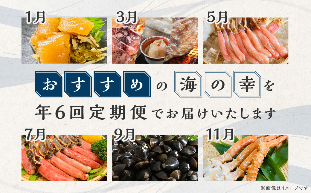 【定期便】オホーツク海鮮グルメ定期便 6回 ※着日指定不可 ※離島への配送不可  ABAO068