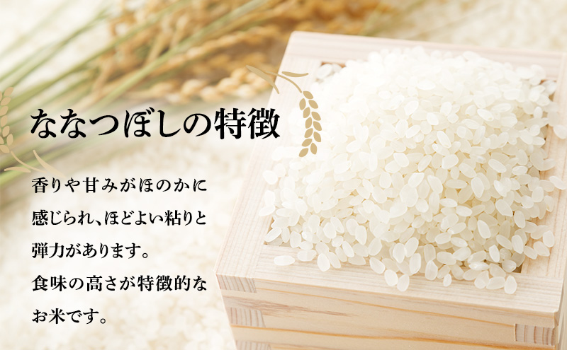 白米 北海道南るもい産 ななつぼし 5kg 米 精米 お米 おこめ コメ ご飯 ごはん さとうファーム 北海道 留萌 留萌市