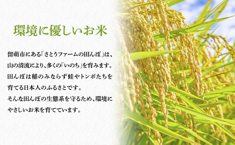 白米 定期便 6ヶ月 北海道南るもい産 ゆめぴりか 10kg (5kg×2) 米 精米 お米 おこめ コメ ご飯 ごはん さとうファーム 6回 半年 お楽しみ 北海道 留萌 留萌市