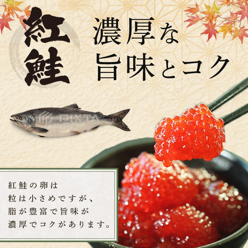 すじこ 訳あり 北海道 紅鮭 塩 筋子 500g (250g×2個入） 加藤水産 ひとくちカット 不揃い 小分け 塩筋子 塩漬け 筋子塩漬け つまみ おつまみ ごはんのお供 惣菜 おかず 珍味 海鮮 海産物 海の幸  魚介類 魚卵 鮭 いくら 冷凍