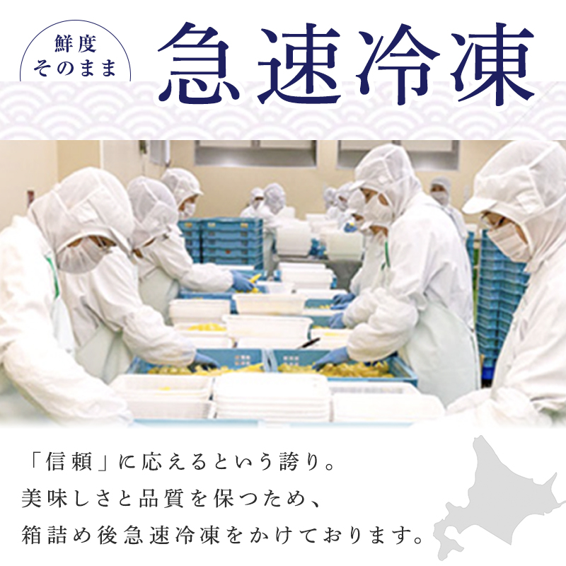 すじこ 訳あり 北海道 紅鮭 塩 筋子 500g (250g×2個入） 加藤水産 ひとくちカット 不揃い 小分け 塩筋子 塩漬け 筋子塩漬け つまみ おつまみ ごはんのお供 惣菜 おかず 珍味 海鮮 海産物 海の幸  魚介類 魚卵 鮭 いくら 冷凍