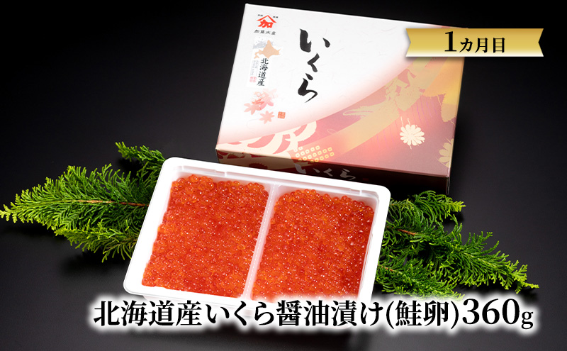 魚卵 定期便 4ヶ月 いくら 数の子 筋子 たらこ 加藤水産 イクラ 360g かずのこ すじこ 500g 切子 鮭いくら 醬油漬け 加工品 魚介 魚介類 海鮮 海鮮セット ご飯のお供 ごはんのお供 4回 お楽しみ 北海道 留萌