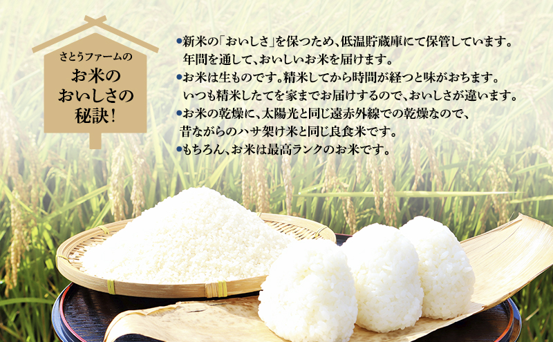 無洗米 北海道南るもい産 ななつぼし 10kg (5kg×2) 米 白米 お米 おこめ コメ ご飯 ごはん さとうファーム 北海道 留萌 留萌市