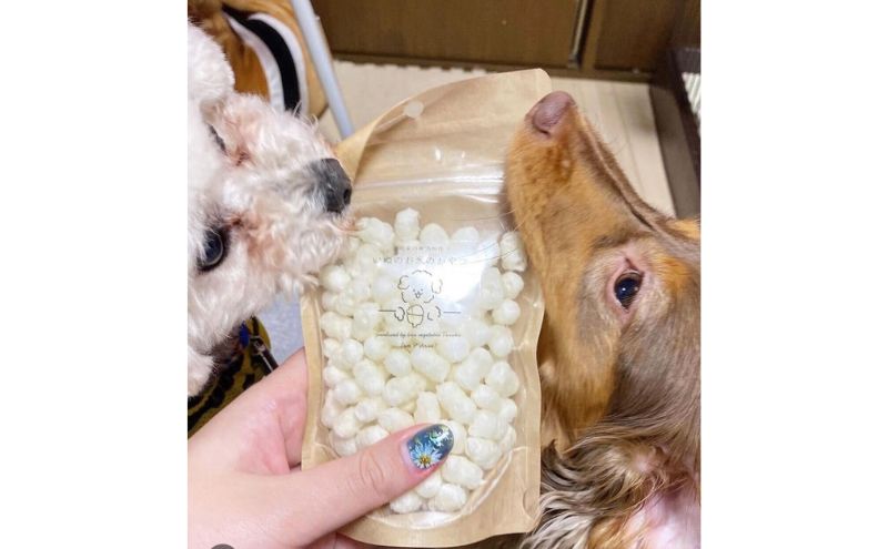 犬 おやつ いぬのお米のおやつ 25g×5袋 セット 無添加 国産 日本製 犬用おやつ 犬のおやつ ペットフード ペット ペット用品 しつけ お米 米 いぬのおやつ 犬のオヤツ 北海道 留萌 留萌市