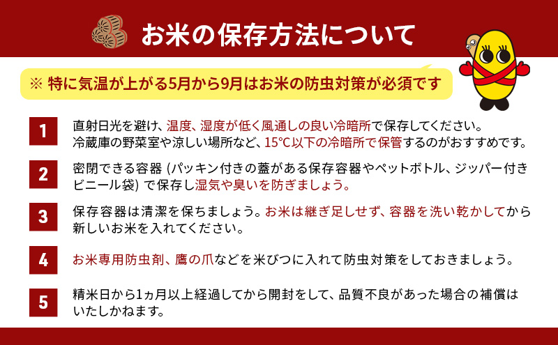 9ヵ月定期便 北海道産 うるち米 ななつぼし 10kg 米 白飯