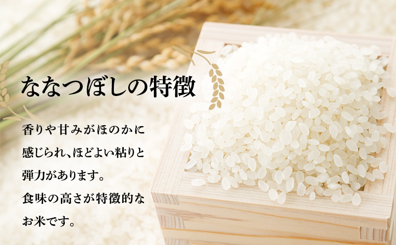 米 定期便 12ヶ月 北海道南るもい産 ななつぼし 10kg (5kg×2袋) お米 おこめ こめ コメ 白米 精米 ご飯 ごはん 12回 お楽しみ 北海道 留萌