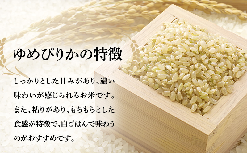 玄米 定期便 12ヶ月 北海道南るもい産 ゆめぴりか 5kg 米 お米 おこめ こめ コメ ご飯 ごはん 12回 1年 お楽しみ 北海道 留萌