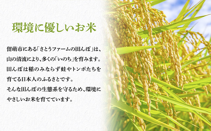 玄米 定期便 9ヶ月 北海道南るもい産 ゆめぴりか 5kg 米 お米 おこめ こめ コメ ご飯 ごはん 9回 お楽しみ 北海道 留萌