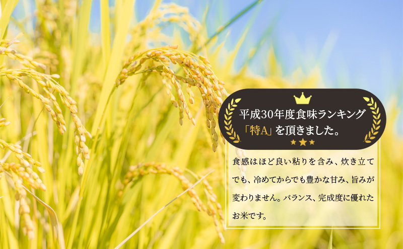 米 定期便 9ヶ月 北海道 ゆめぴりか 10kg（5kg ×2袋） 留萌管内産 お米 特A 特A米 こめ コメ おこめ 白米 ふるさと納税米 ふるさと 留萌 定期 お楽しみ 9回