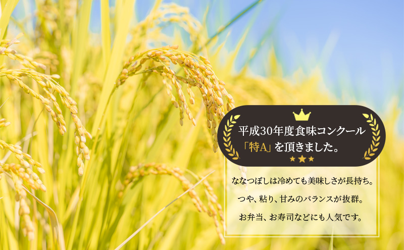 米 定期便 9ヶ月 北海道 ななつぼし 6kg(3kg×2袋) 留萌管内産 お米 特A 特A米 こめ コメ おこめ 白米 ふるさと納税米 ふるさと 留萌 定期 お楽しみ 9回