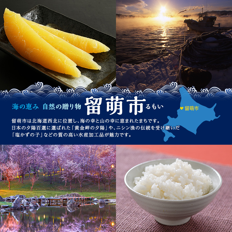 魚卵 定期便 6ヵ月 すじこ 訳あり 北海道 紅鮭 筋子 醤油 漬け 500g (250g×2個入) 加藤水産 ひとくちカット 不揃い 小分け つまみ おつまみ ごはんのお供 惣菜 おかず 珍味 海鮮 海産物 海の幸 魚介 魚介類 鮭 いくら イクラ 訳アリ わけあり