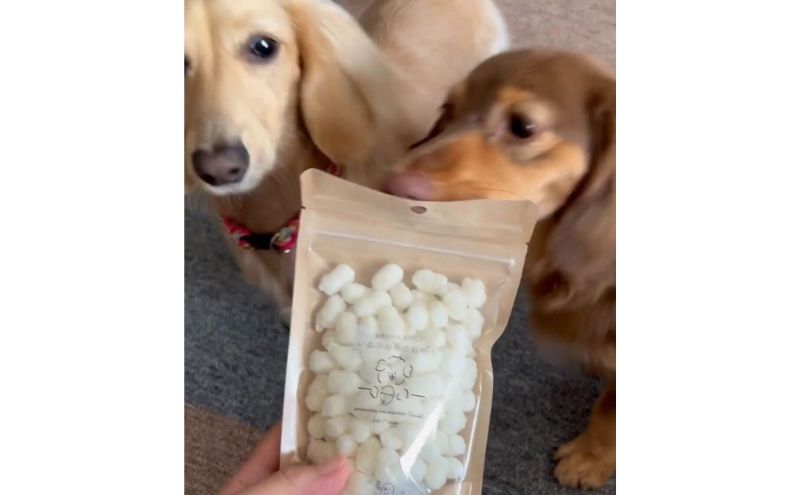 【 2ヵ月 定期便 】いぬのお米のおやつ25g×5袋 ペットフード 犬 無添加