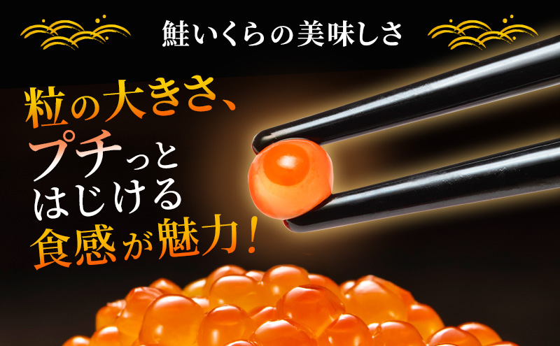 北海道産 いくら 醤油漬け 500g 鮭卵 イクラ お節 おせち 海鮮丼 魚介類
