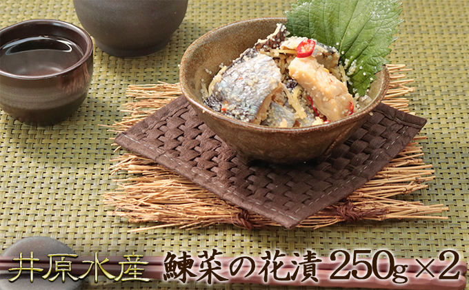【井原水産】鰊菜の花漬250g×2