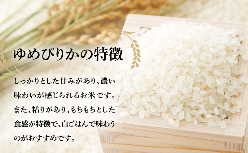 米 定期便 3ヶ月 北海道南るもい産 ゆめぴりか 5kg お米 おこめ こめ コメ 白米 精米 ご飯 ごはん 3回 お楽しみ 北海道 留萌