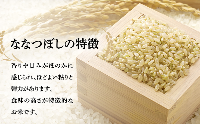 玄米 定期便 3ヶ月 北海道南るもい産 ななつぼし 5kg 頒布会 米 お米 おこめ コメ ご飯 ごはん さとうファーム 3回 お楽しみ 北海道 留萌 留萌市