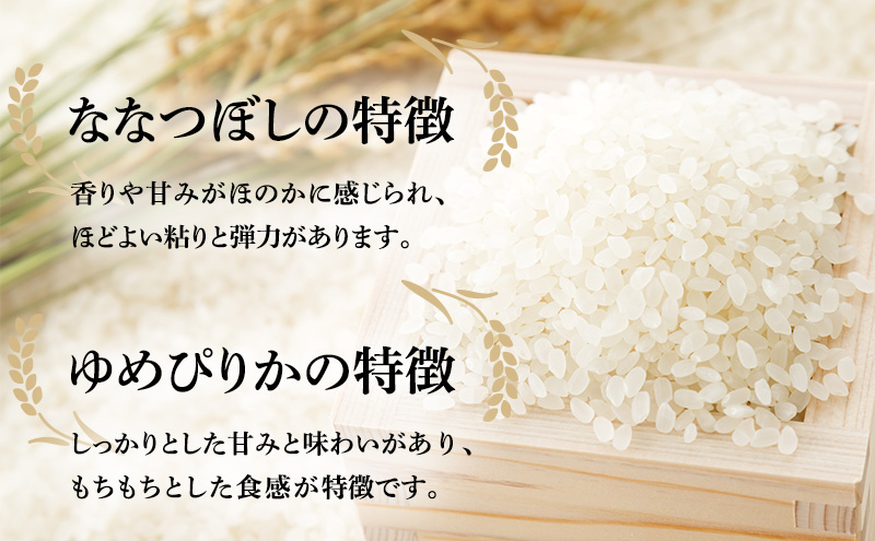 玄米 定期便 6ヶ月 北海道南るもい産 ゆめぴりか ななつぼし 20kg (10kg×2) 頒布会 米 お米 おこめ コメ ご飯 ごはん さとうファーム 6回 半年 お楽しみ 北海道 留萌 留萌市