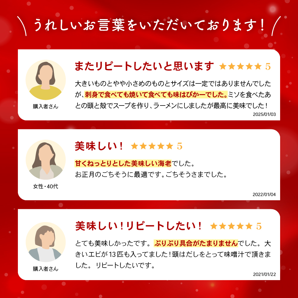 【年内配送　年内発送　北海道】【漁師採りたて　留萌産】ボタンエビ　500ｇ×1 北海道留萌産 ボタンえび ぼたんえび ボタン海老 えび エビ 海老 お刺身 刺身 塩焼き 塩ゆで 天ぷら 海鮮 魚介 魚介類 北海道 留萌 留萌市　R006-013