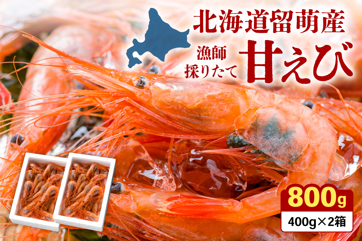 【漁師採りたて　留萌産】ナンバンエビ（甘エビ）　400ｇ×2　あまえび 甘海老 海老 エビ 南蛮エビ つまみ おつまみ ご飯のお供 おかず 海鮮 海産物 海の幸 魚介 魚介類 刺身 お刺身 刺し身 さしみ 天ぷら 冷凍 留萌