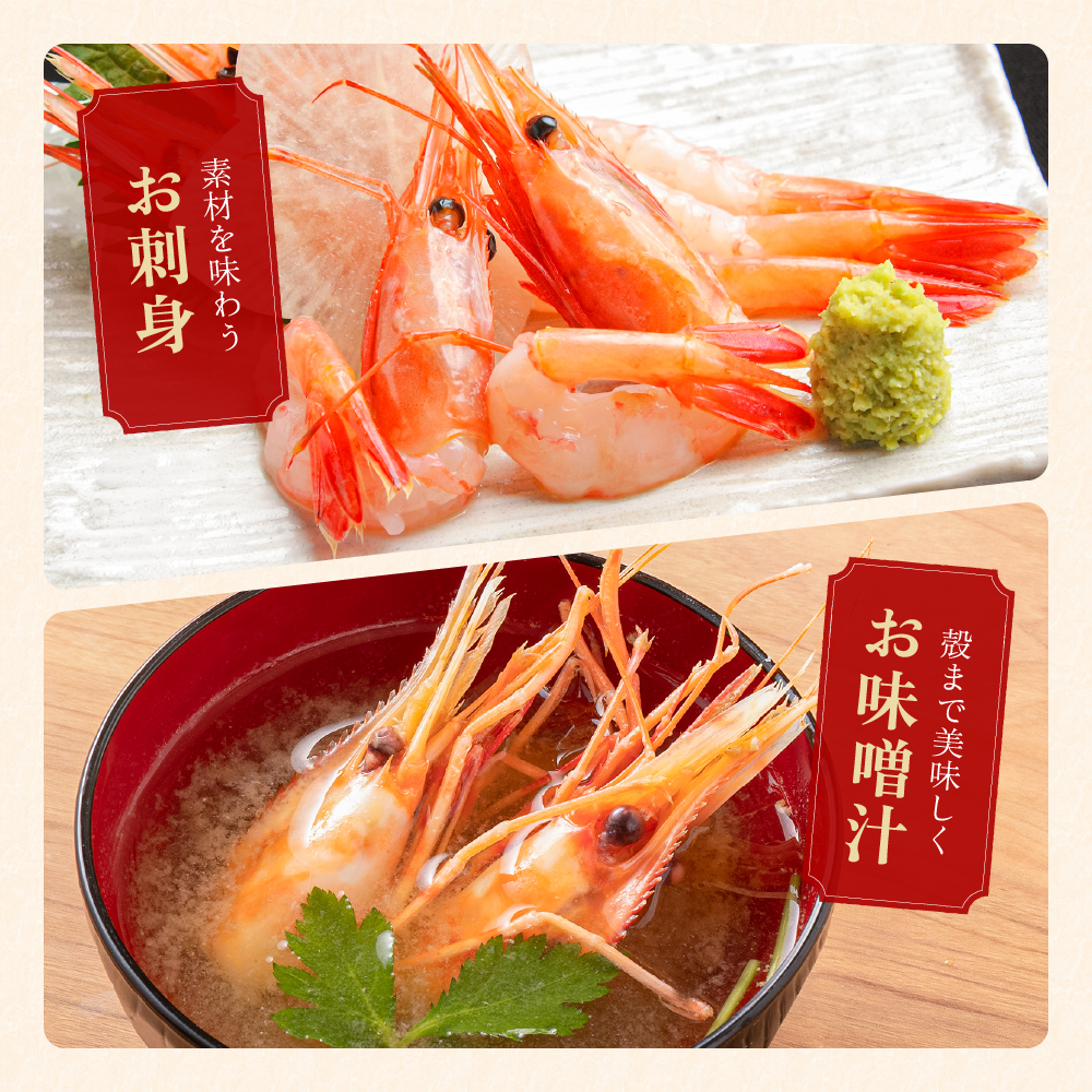 【年内配送　年内発送　北海道】【漁師採りたて　留萌産】ボタンエビ　500ｇ×1 北海道留萌産 ボタンえび ぼたんえび ボタン海老 えび エビ 海老 お刺身 刺身 塩焼き 塩ゆで 天ぷら 海鮮 魚介 魚介類 北海道 留萌 留萌市　R006-013