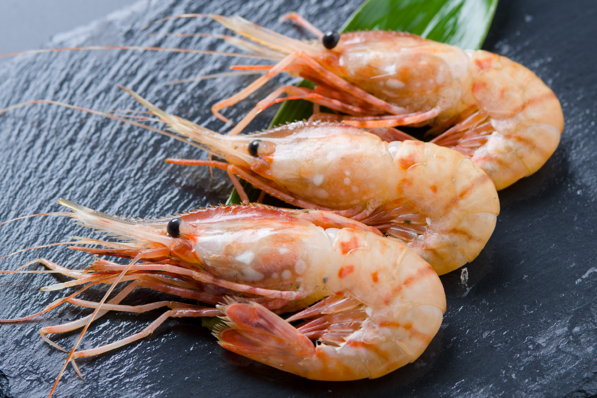 【年内配送　年内発送　北海道】【漁師採りたて　留萌産】ボタンエビ　500ｇ×1 北海道留萌産 ボタンえび ぼたんえび ボタン海老 えび エビ 海老 お刺身 刺身 塩焼き 塩ゆで 天ぷら 海鮮 魚介 魚介類 北海道 留萌 留萌市　R006-013