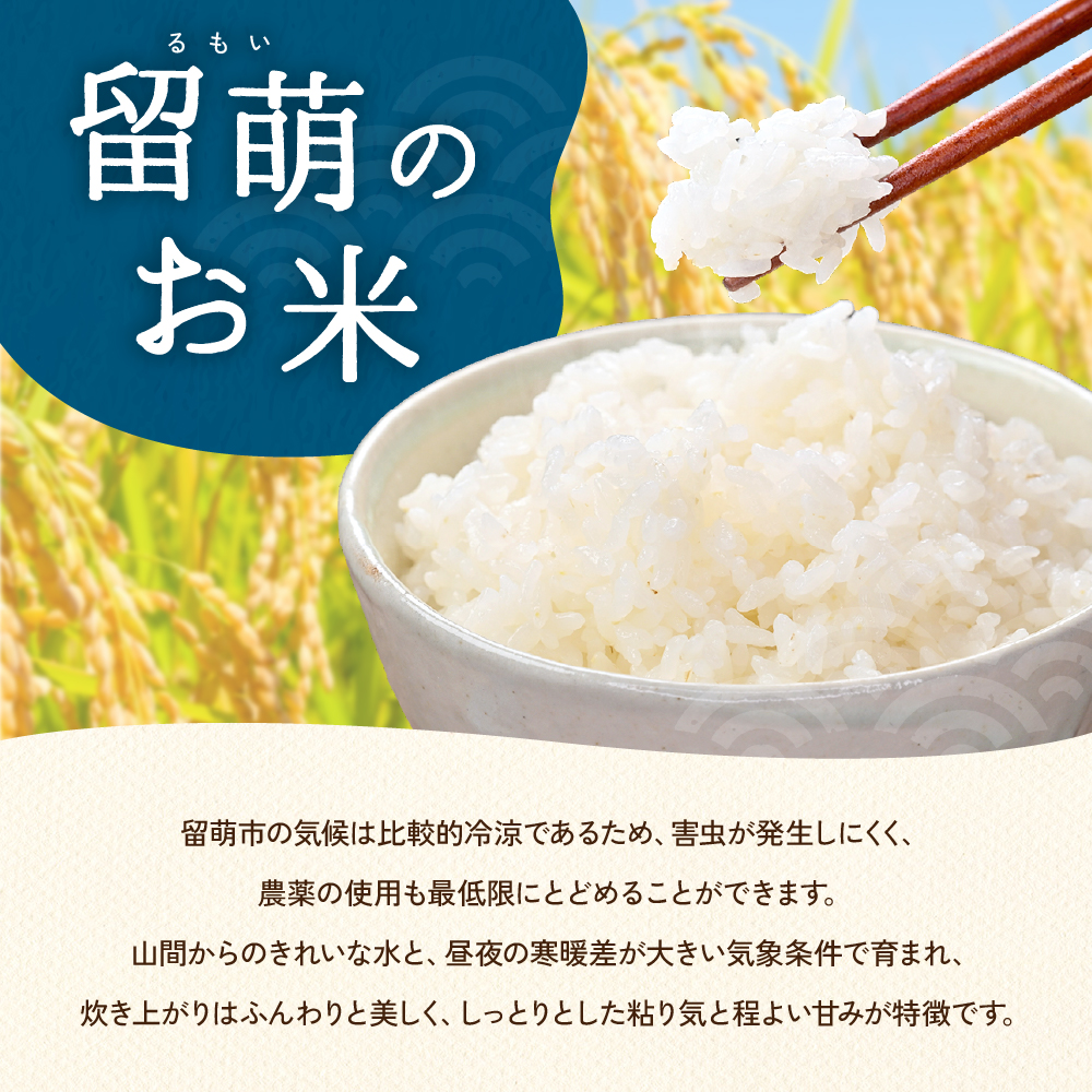 9繝オ譛亥ョ壽悄萓ソ 蛹玲オキ驕 逡呵酔邂。蜀逕」繧繧√エ繧翫°10kg(5kgテ2陲) R004-023