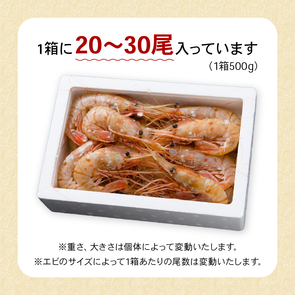 【年内配送　年内発送　北海道】【漁師採りたて　留萌産】ボタンエビ　500ｇ×1 北海道留萌産 ボタンえび ぼたんえび ボタン海老 えび エビ 海老 お刺身 刺身 塩焼き 塩ゆで 天ぷら 海鮮 魚介 魚介類 北海道 留萌 留萌市　R006-013