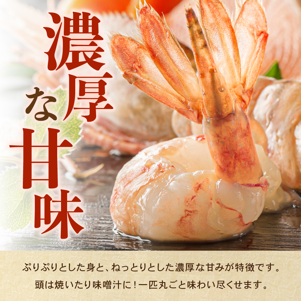 【年内配送　年内発送　北海道】【漁師採りたて　留萌産】ボタンエビ　500ｇ×1 北海道留萌産 ボタンえび ぼたんえび ボタン海老 えび エビ 海老 お刺身 刺身 塩焼き 塩ゆで 天ぷら 海鮮 魚介 魚介類 北海道 留萌 留萌市　R006-013