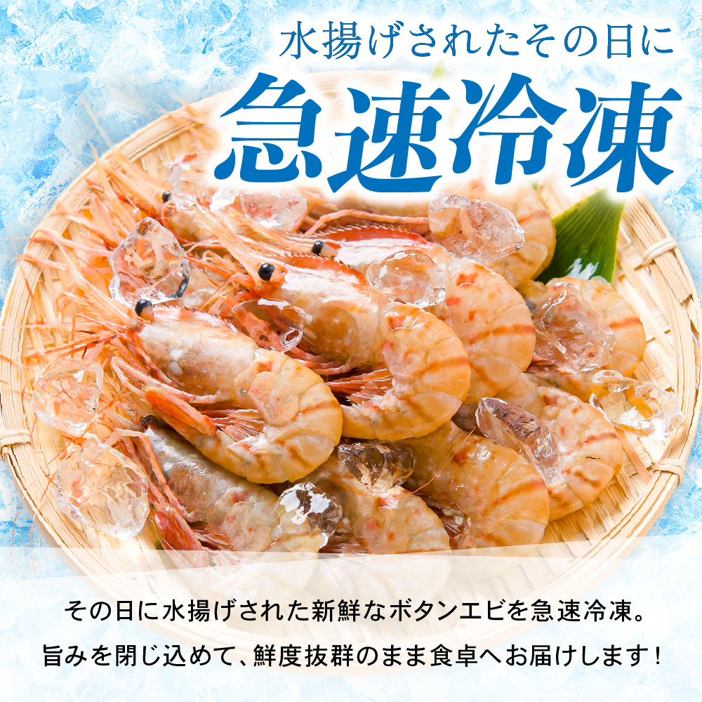 【年内配送　年内発送　北海道】【漁師採りたて　留萌産】ボタンエビ　500ｇ×1 北海道留萌産 ボタンえび ぼたんえび ボタン海老 えび エビ 海老 お刺身 刺身 塩焼き 塩ゆで 天ぷら 海鮮 魚介 魚介類 北海道 留萌 留萌市　R006-013