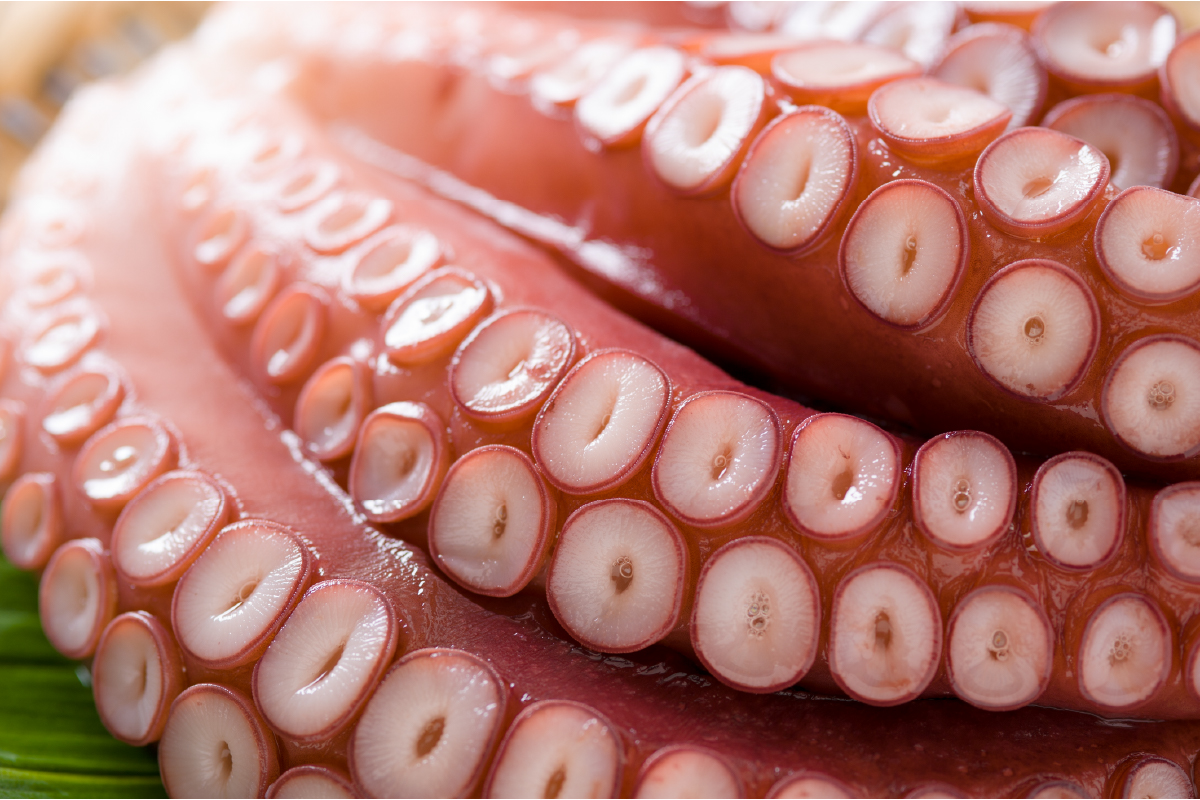 留萌産　冷凍煮たこ　2kg〜2.4kg　北海道 蛸 お刺身 刺し身 刺身 天ぷら 唐揚げ 魚介類 海鮮 北海道 留萌 R006-010