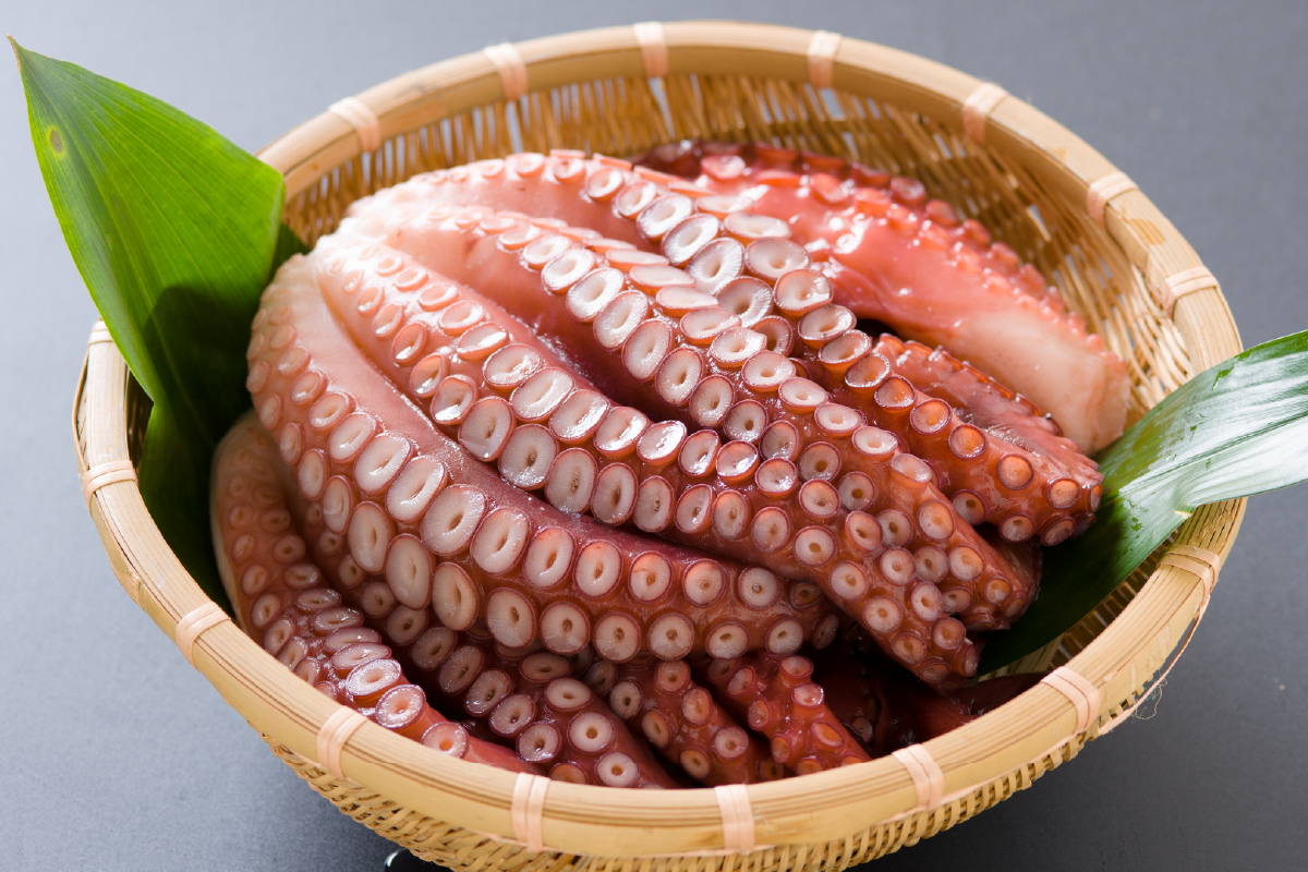 留萌産　冷凍煮たこ　2kg〜2.4kg　北海道 蛸 お刺身 刺し身 刺身 天ぷら 唐揚げ 魚介類 海鮮 北海道 留萌 R006-010