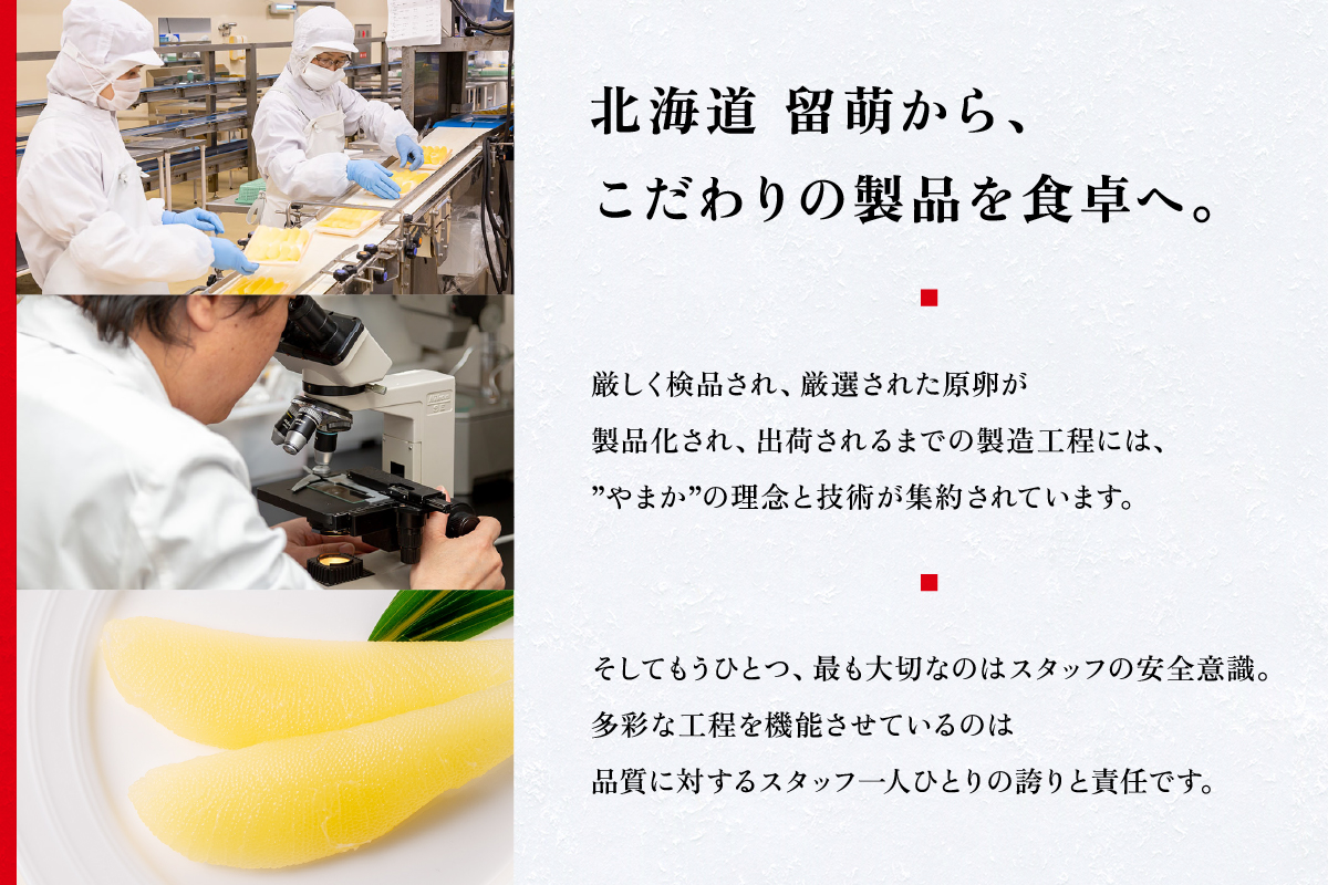 【煌】北海道産　塩数の子　500g/セ②　R001-089