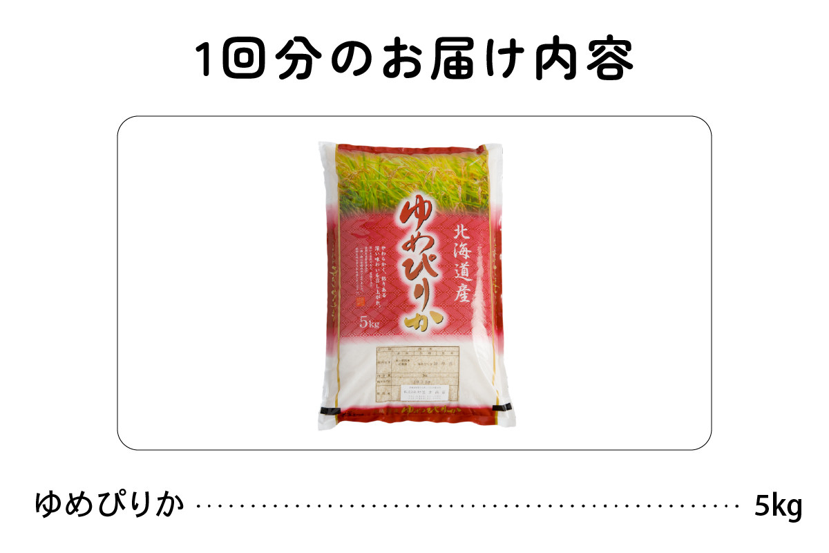 3繝オ譛亥ョ壽悄萓ソ 蛹玲オキ驕 逡呵酔邂。蜀逕」 繧繧√エ繧翫°5kg R004-007