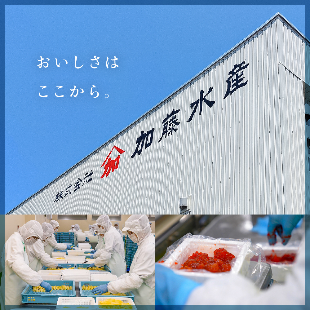險ウ縺ゅj縲蜻ウ莉俶焚縺ョ蟄300g縲謚伜ュ審002-053