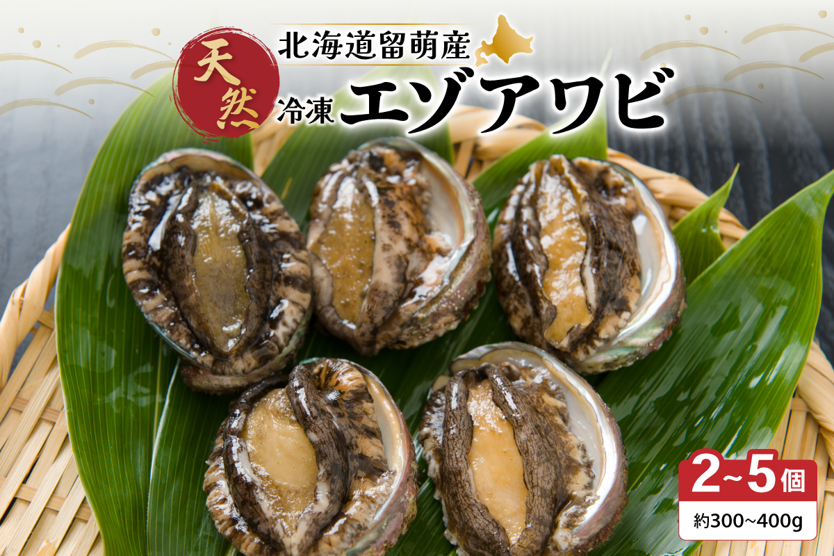 【産地直送】北海道留萌産天然冷凍エゾアワビ 2～5個 R006-008