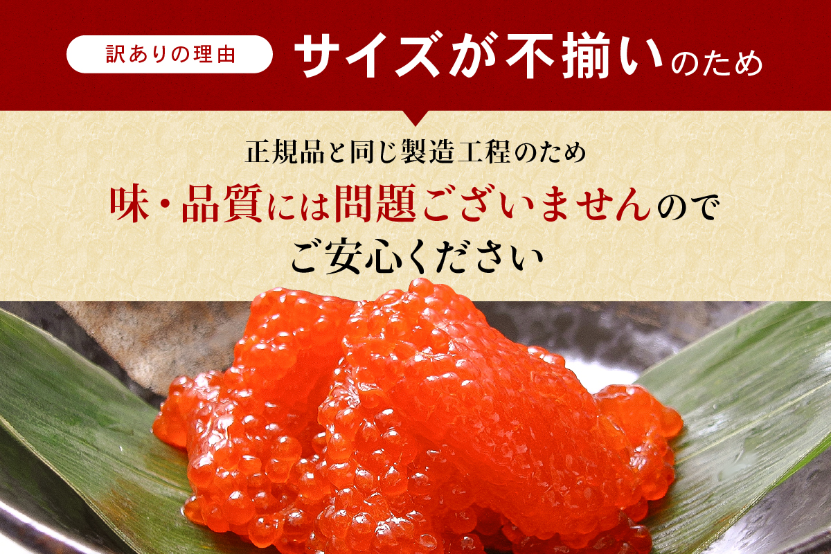 ã10æé
éãèš³ãã çŽ
é®çå逿²¹æŒ¬ 500g (250gÃ2åå
¥ïŒå è€æ°Žç£ ã²ãšãã¡ã«ãã ããã éåµ æµ·é®® ããã ãã«ããã®å
· ã®ãã äººæ° çèåž R002-004-10