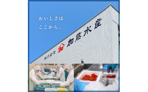 明太にしん 6尾入 ごはんのお供 おかず 酒の肴 冷凍 ニシン 鰊 めんたい 辛子 明太子 魚 焼き魚 和食 ご飯 ギフト 海産物 北海道 R002-058