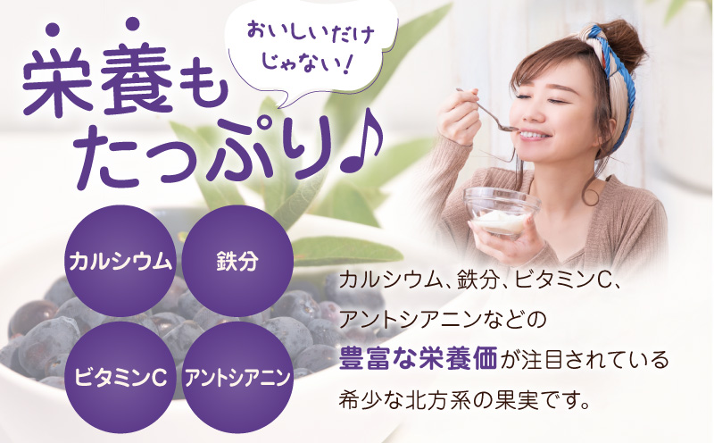 カナダ産 市民還元ハスカップソース 235g（3瓶）　T044-018【株式会社三星】