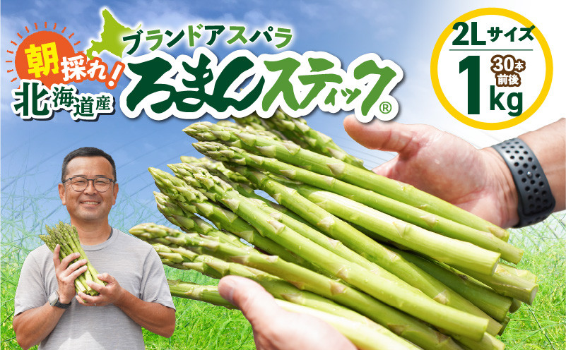 ロマンス農園 ろまんスティック 2Lサイズ 1kg　T049-005