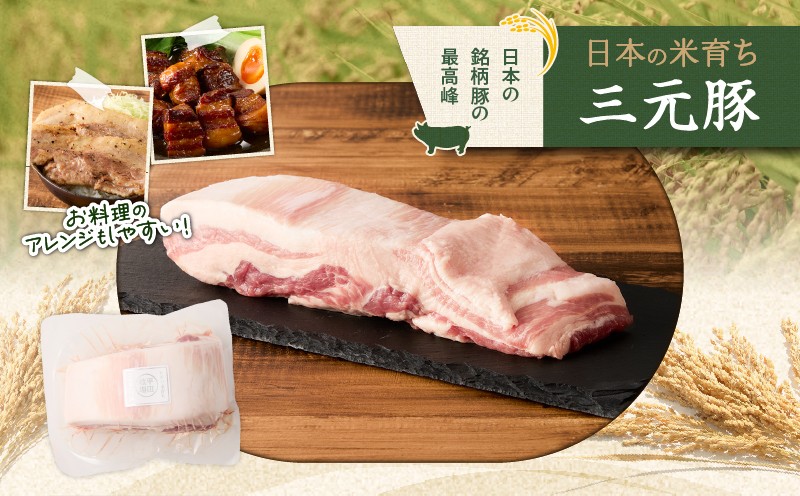 【全6回 毎月定期便】日本の米育ち平田牧場三元豚バラブロック 1.2kg　T036-T09-02
