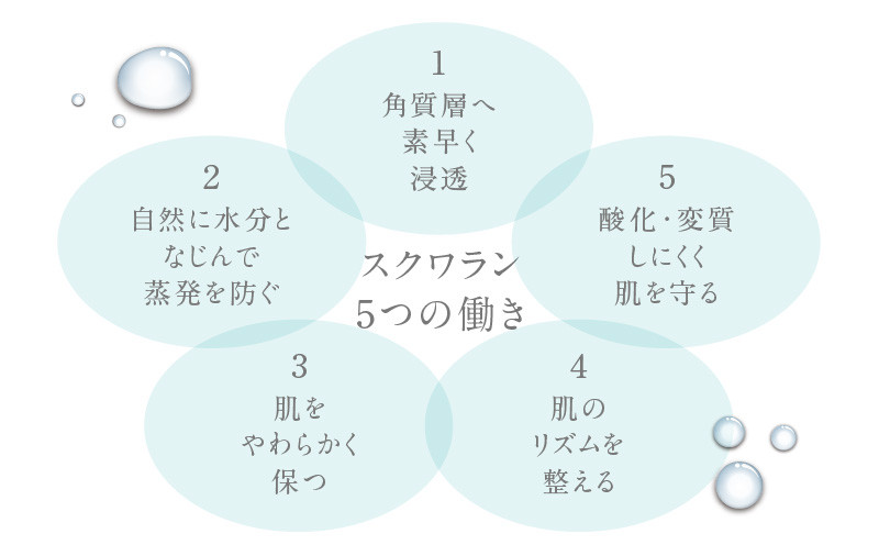 HABA 繧ケ繧ッ繝ッ繝ゥ繝ウIIシ30mlシ峨T003-001